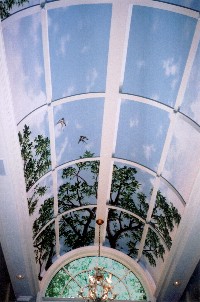9' X 17' sky, trees and birds through window mural on barrel ceiling