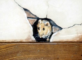 Mouse in Wall Trompe L'oeil